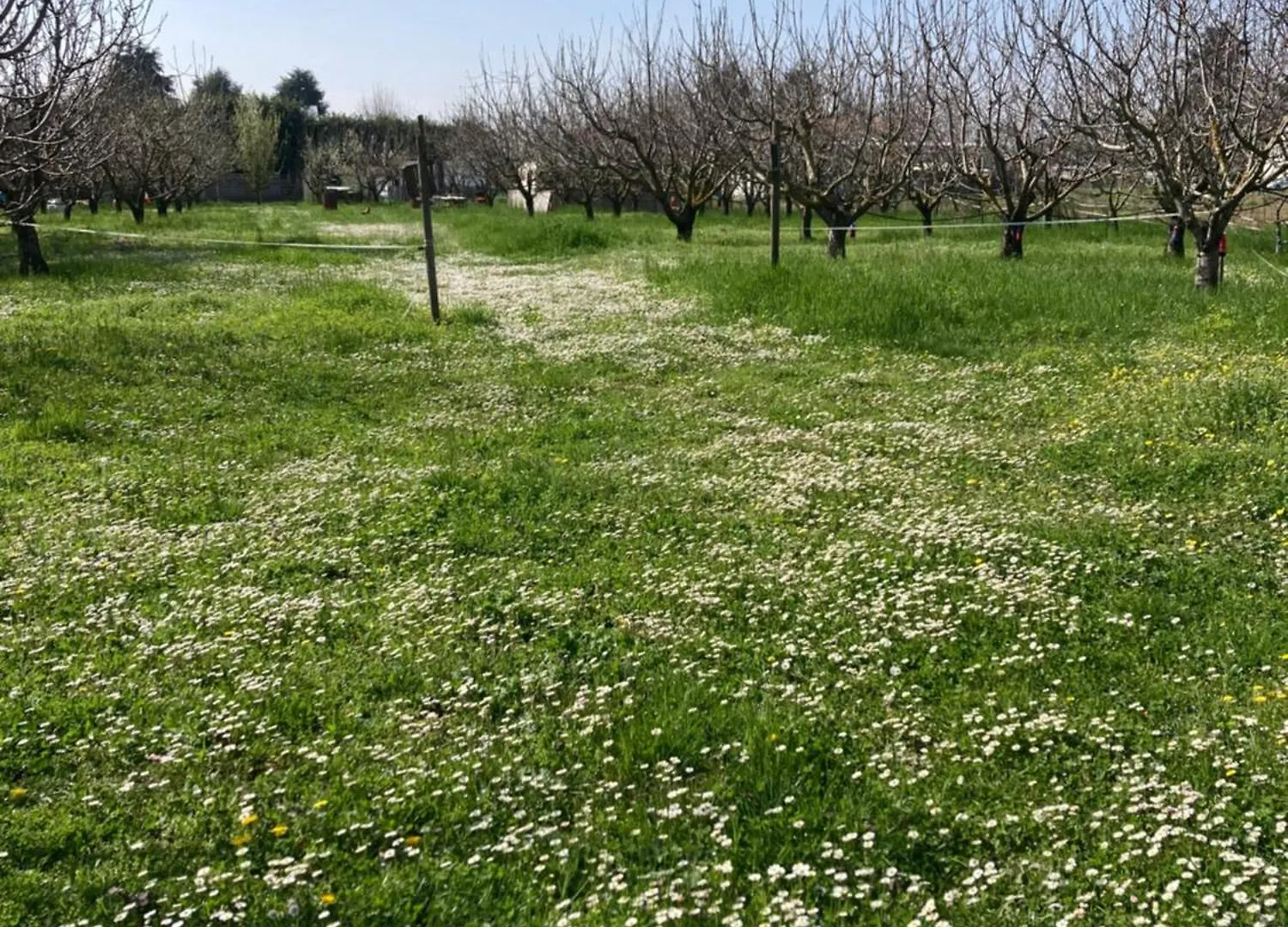 Home Shanti, Sole Tra I Ciliegi Crespellano 0*,  Italien